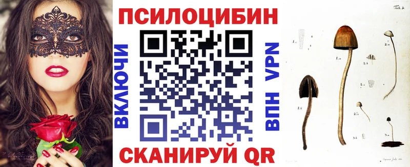 Галлюциногенные грибы Psilocybine cubensis Анжеро-Судженск