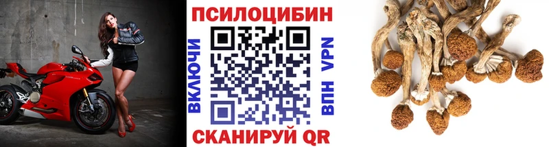 Галлюциногенные грибы прущие грибы  мега вход  Анжеро-Судженск 